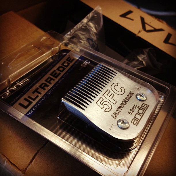 This image has an empty alt attribute; its file name is preview