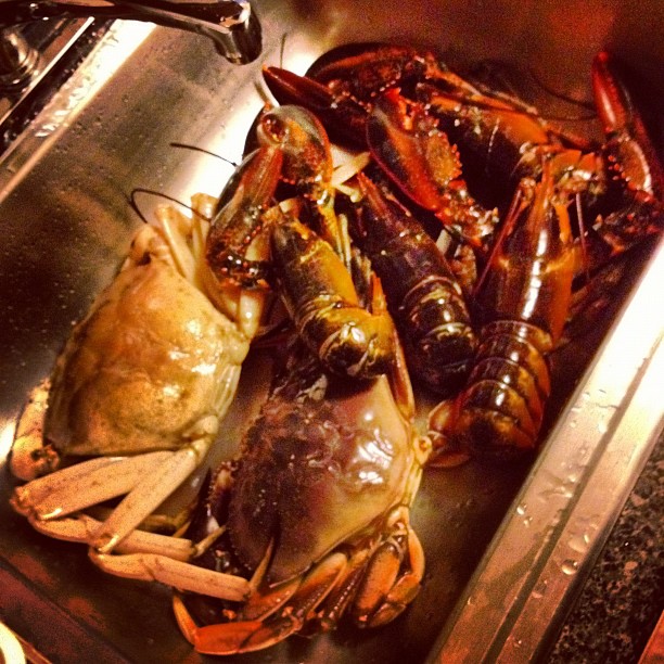 This image has an empty alt attribute; its file name is preview