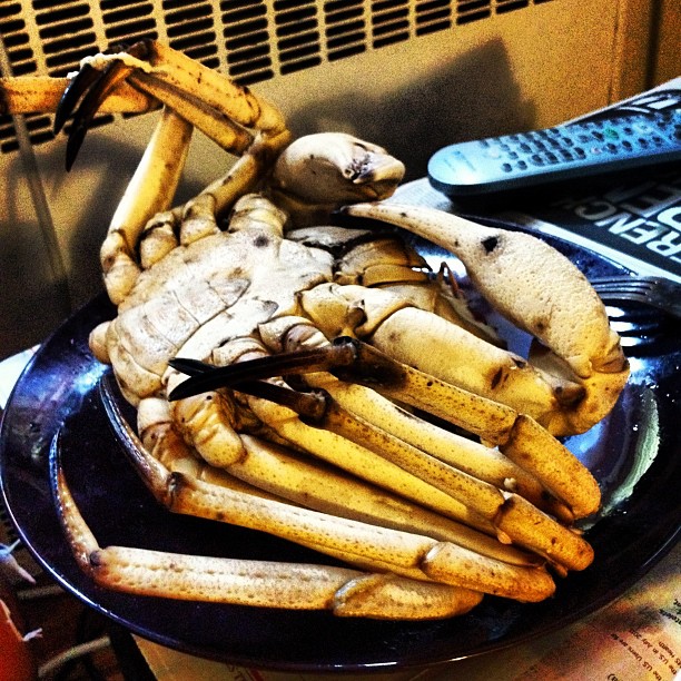 This image has an empty alt attribute; its file name is preview