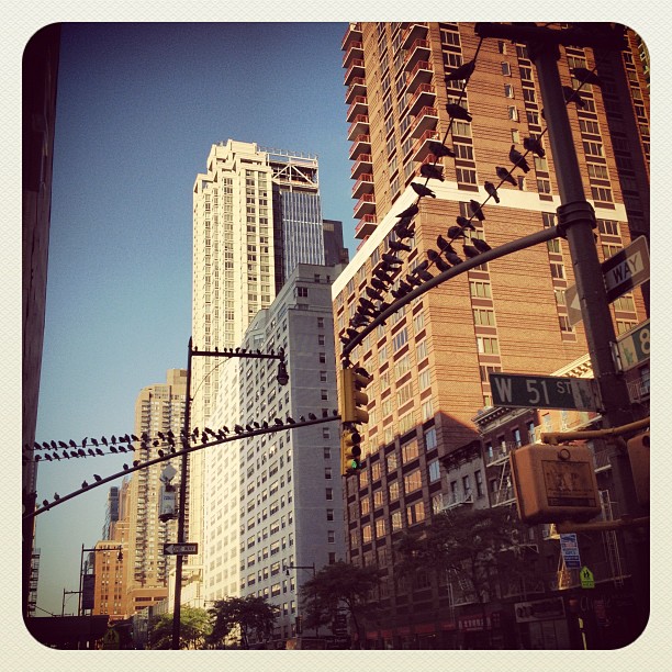 This image has an empty alt attribute; its file name is preview