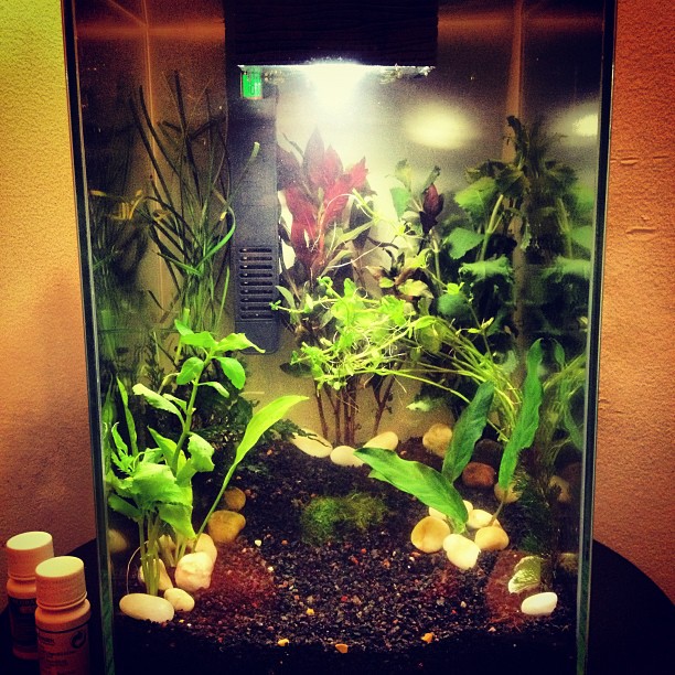 This image has an empty alt attribute; its file name is preview