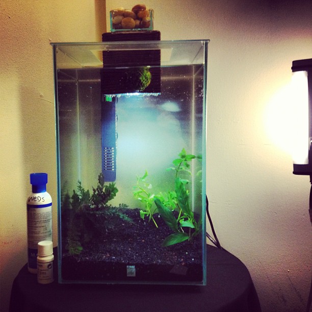 This image has an empty alt attribute; its file name is preview