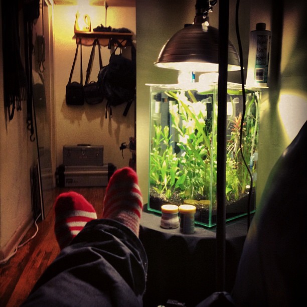 This image has an empty alt attribute; its file name is preview