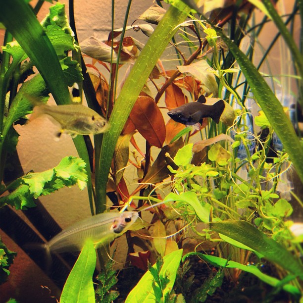 This image has an empty alt attribute; its file name is preview