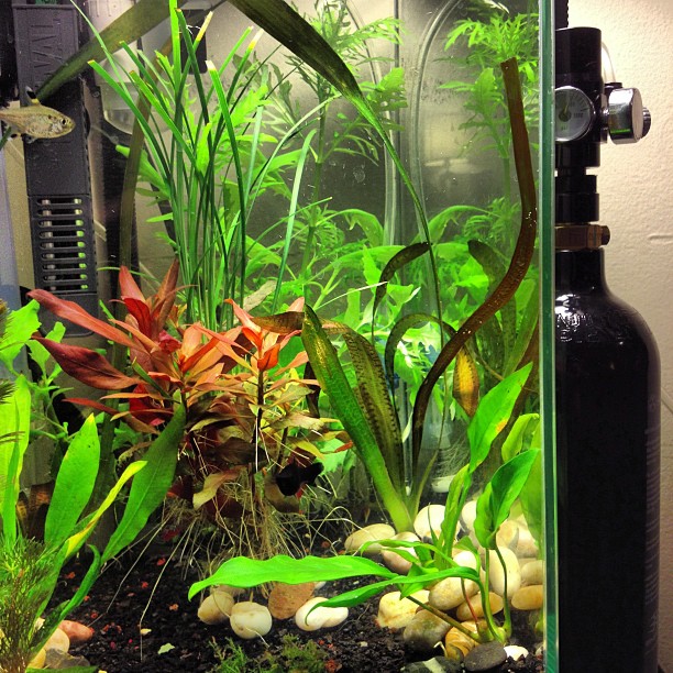 This image has an empty alt attribute; its file name is preview