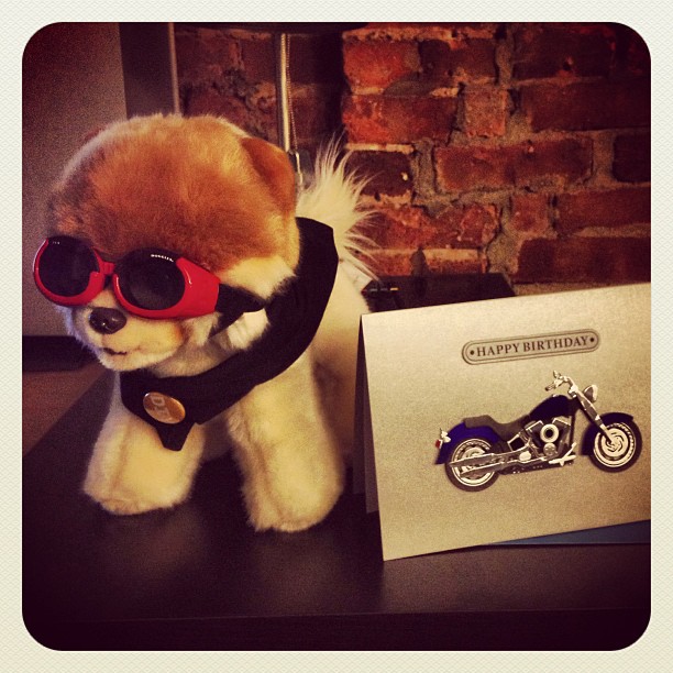 This image has an empty alt attribute; its file name is preview