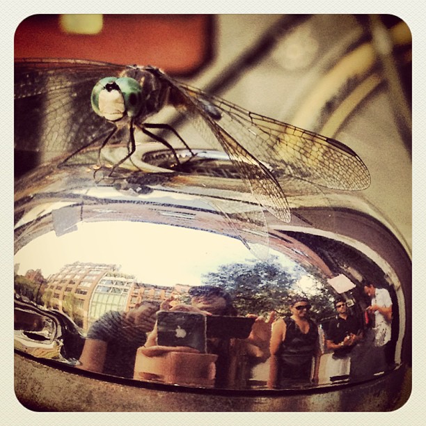 This image has an empty alt attribute; its file name is preview