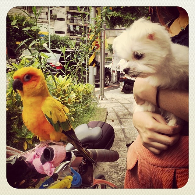 This image has an empty alt attribute; its file name is preview