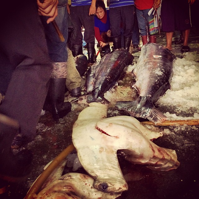 This image has an empty alt attribute; its file name is preview