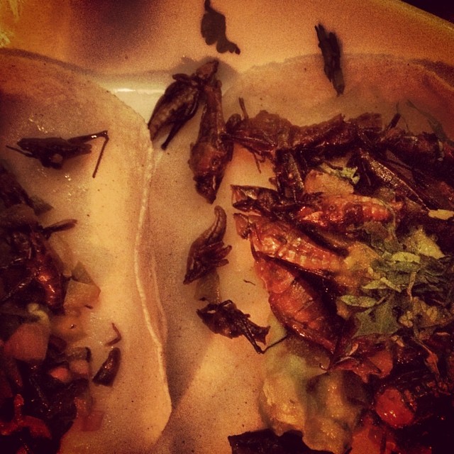 This image has an empty alt attribute; its file name is preview