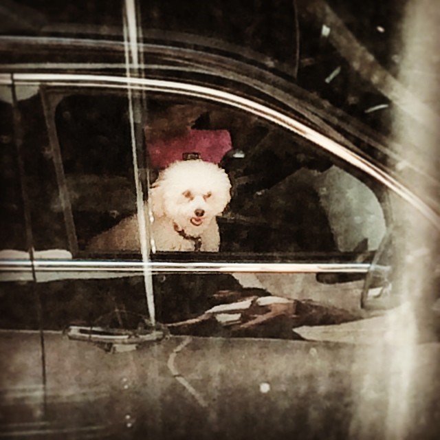 This image has an empty alt attribute; its file name is preview