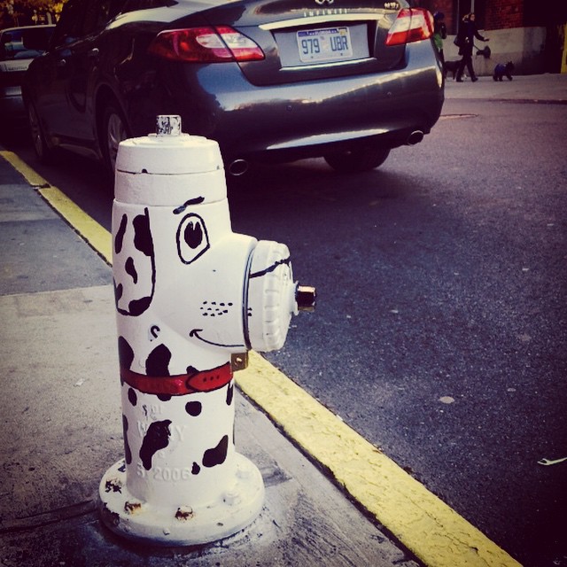 This image has an empty alt attribute; its file name is preview