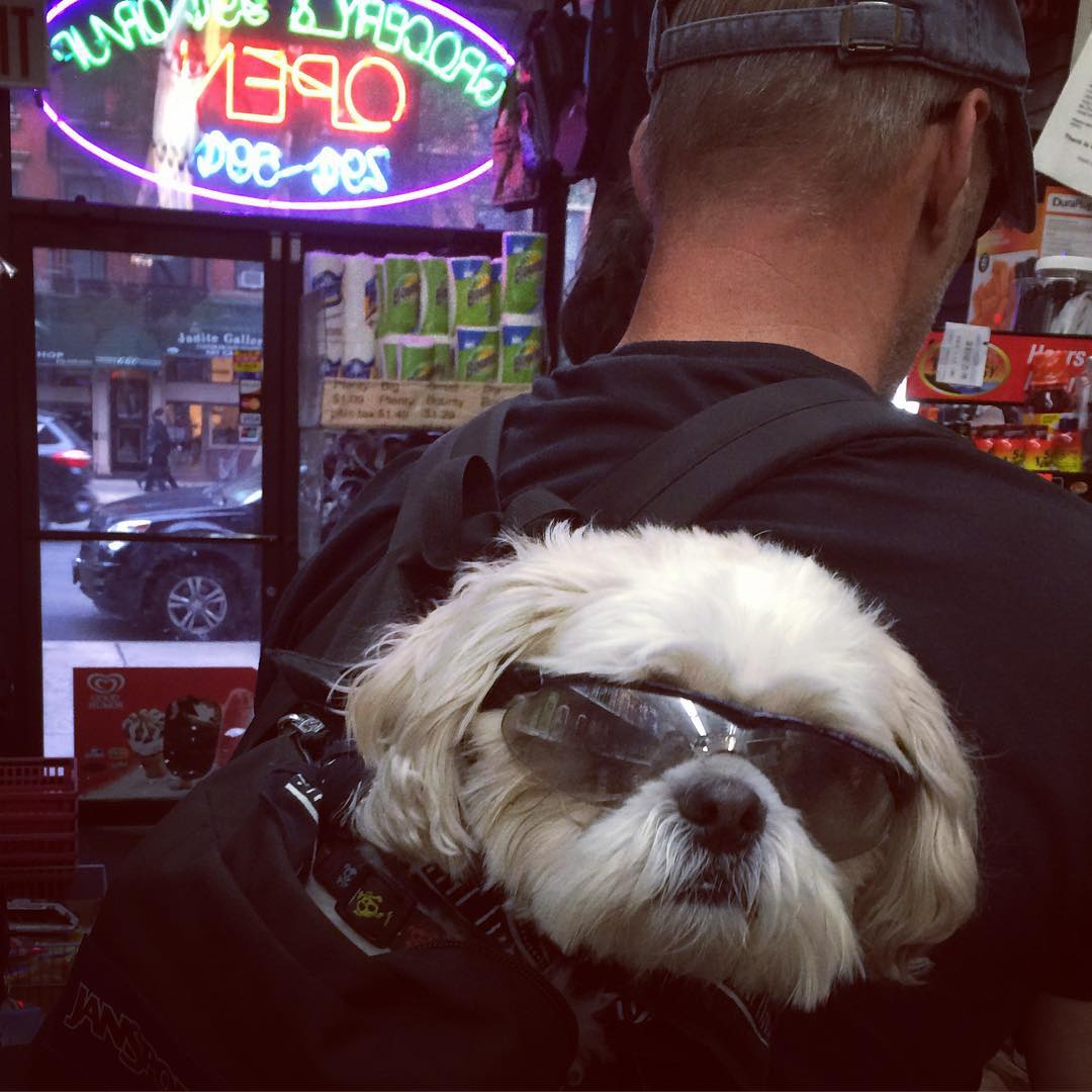 This image has an empty alt attribute; its file name is preview