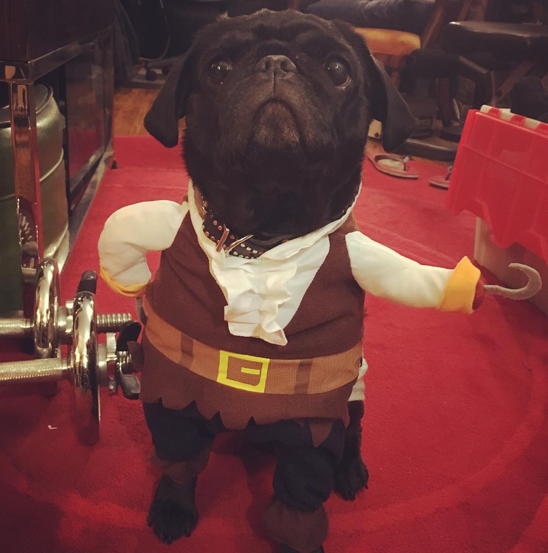 This image has an empty alt attribute; its file name is preview