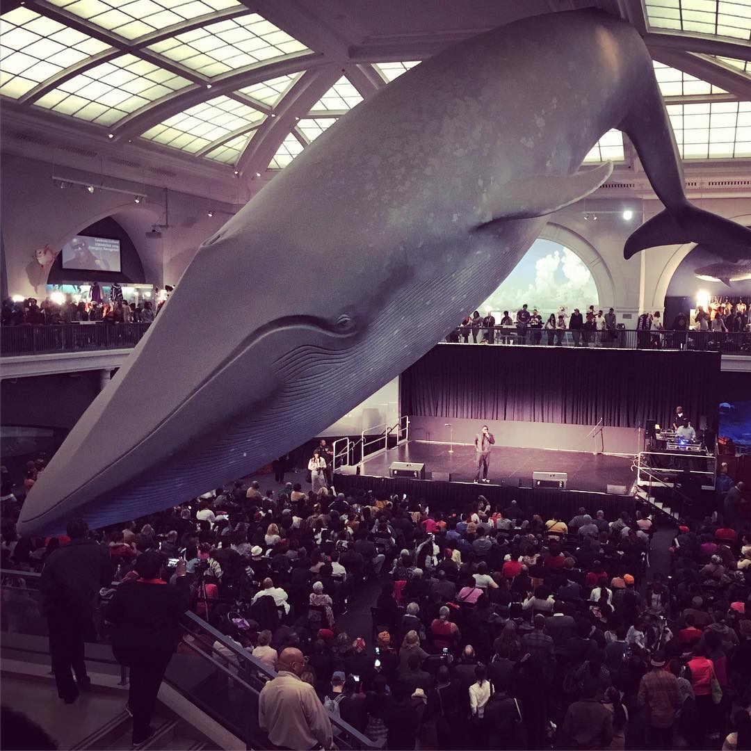 This image has an empty alt attribute; its file name is preview