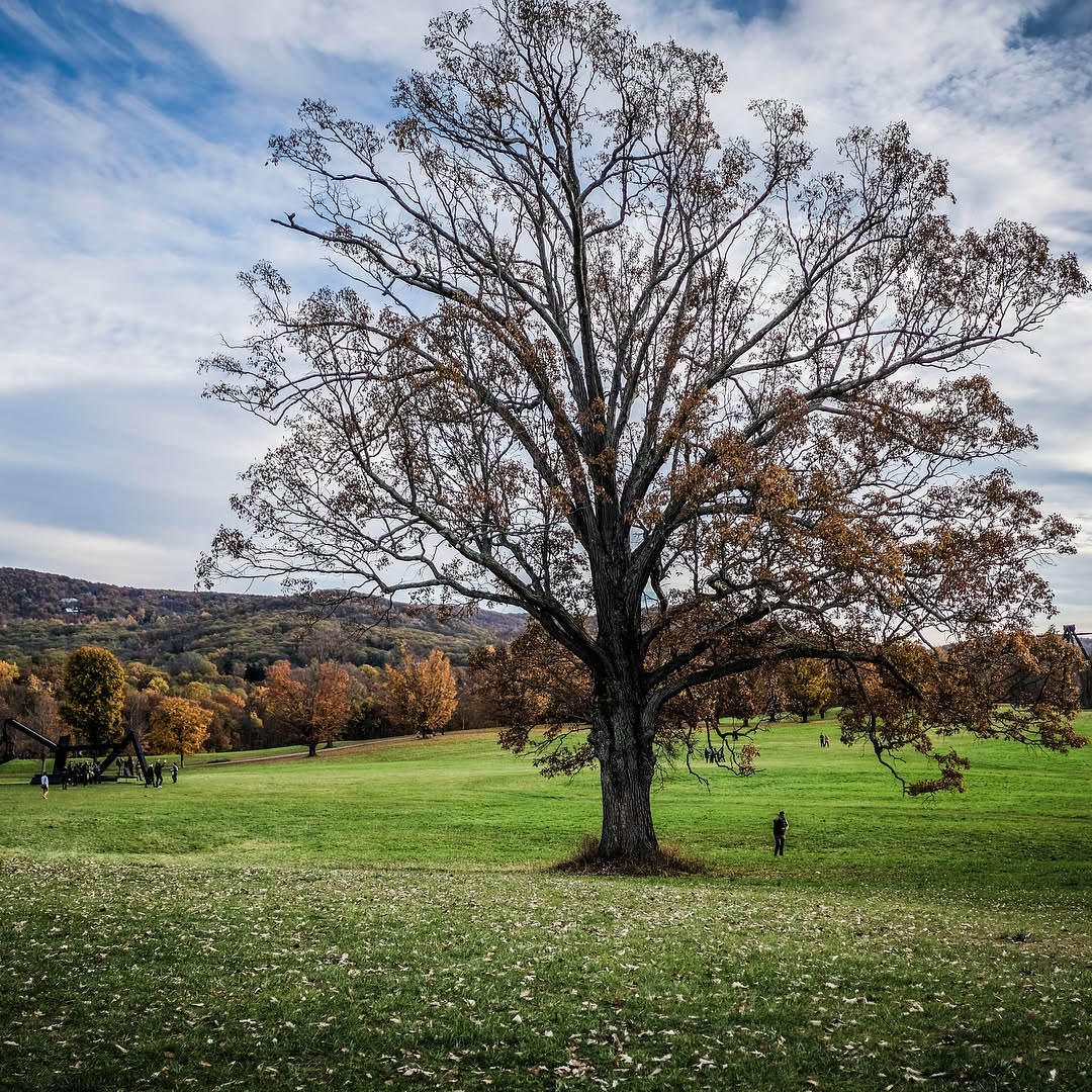 This image has an empty alt attribute; its file name is preview