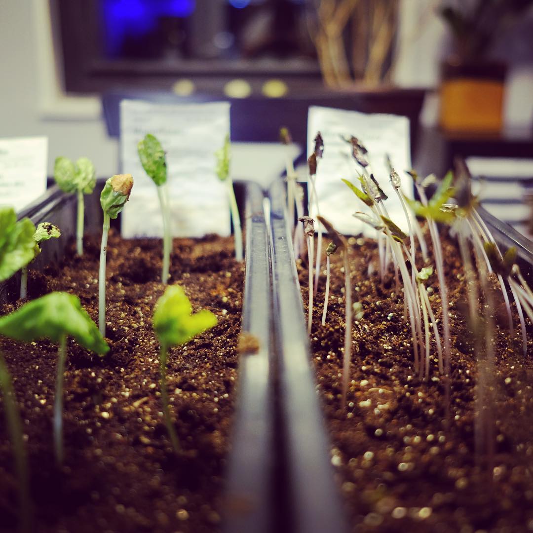 This image has an empty alt attribute; its file name is preview