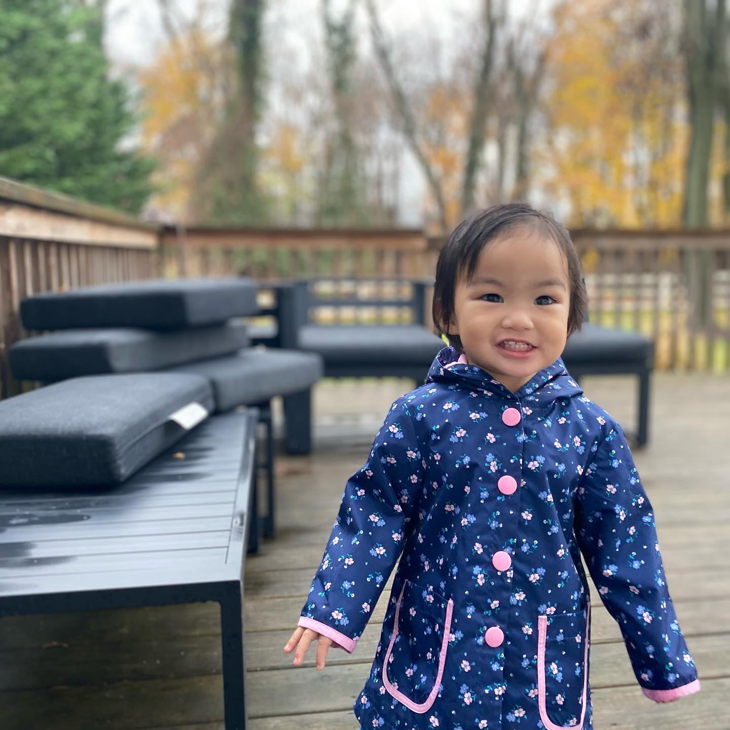 This image has an empty alt attribute; its file name is preview