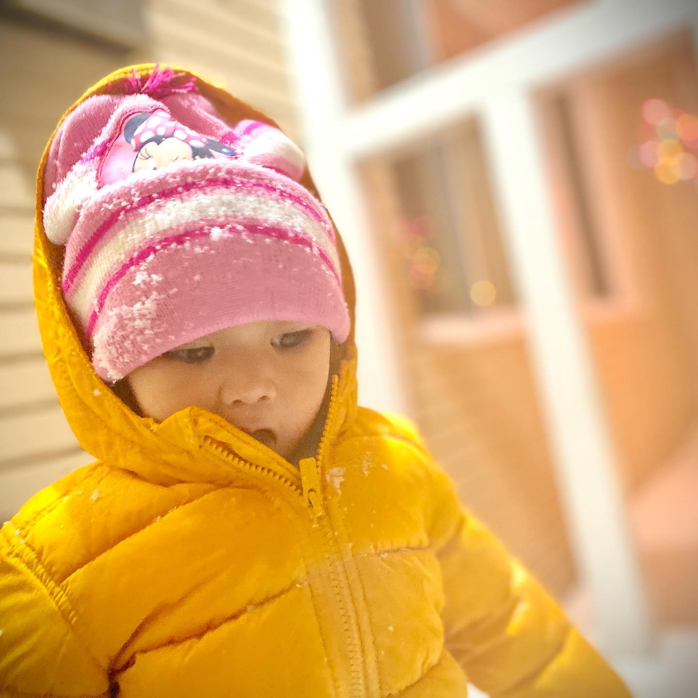 This image has an empty alt attribute; its file name is preview