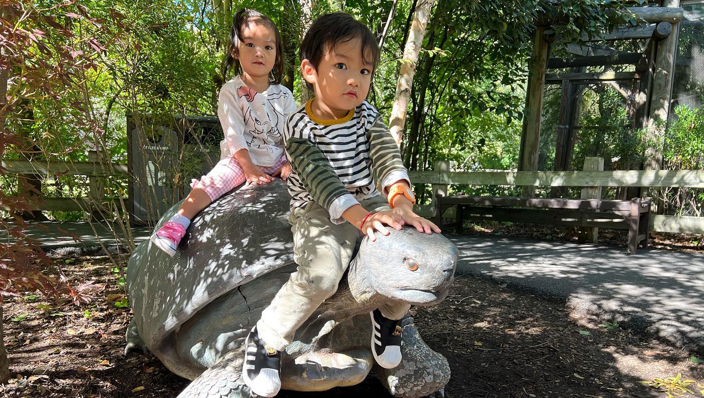 This image has an empty alt attribute; its file name is preview