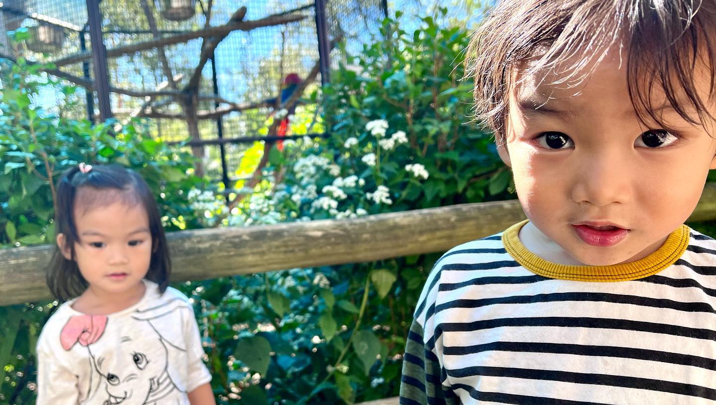 This image has an empty alt attribute; its file name is preview