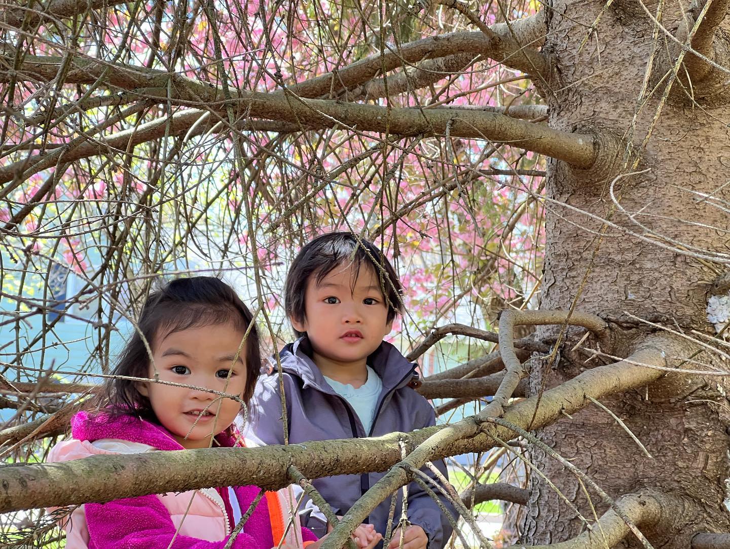 This image has an empty alt attribute; its file name is preview