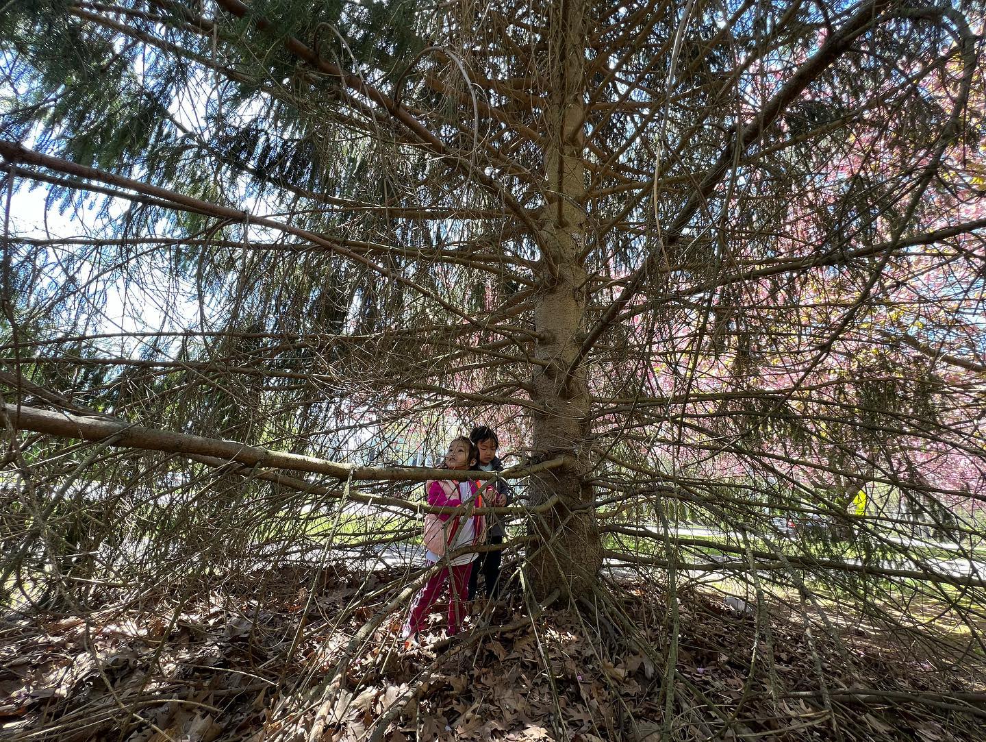 This image has an empty alt attribute; its file name is preview