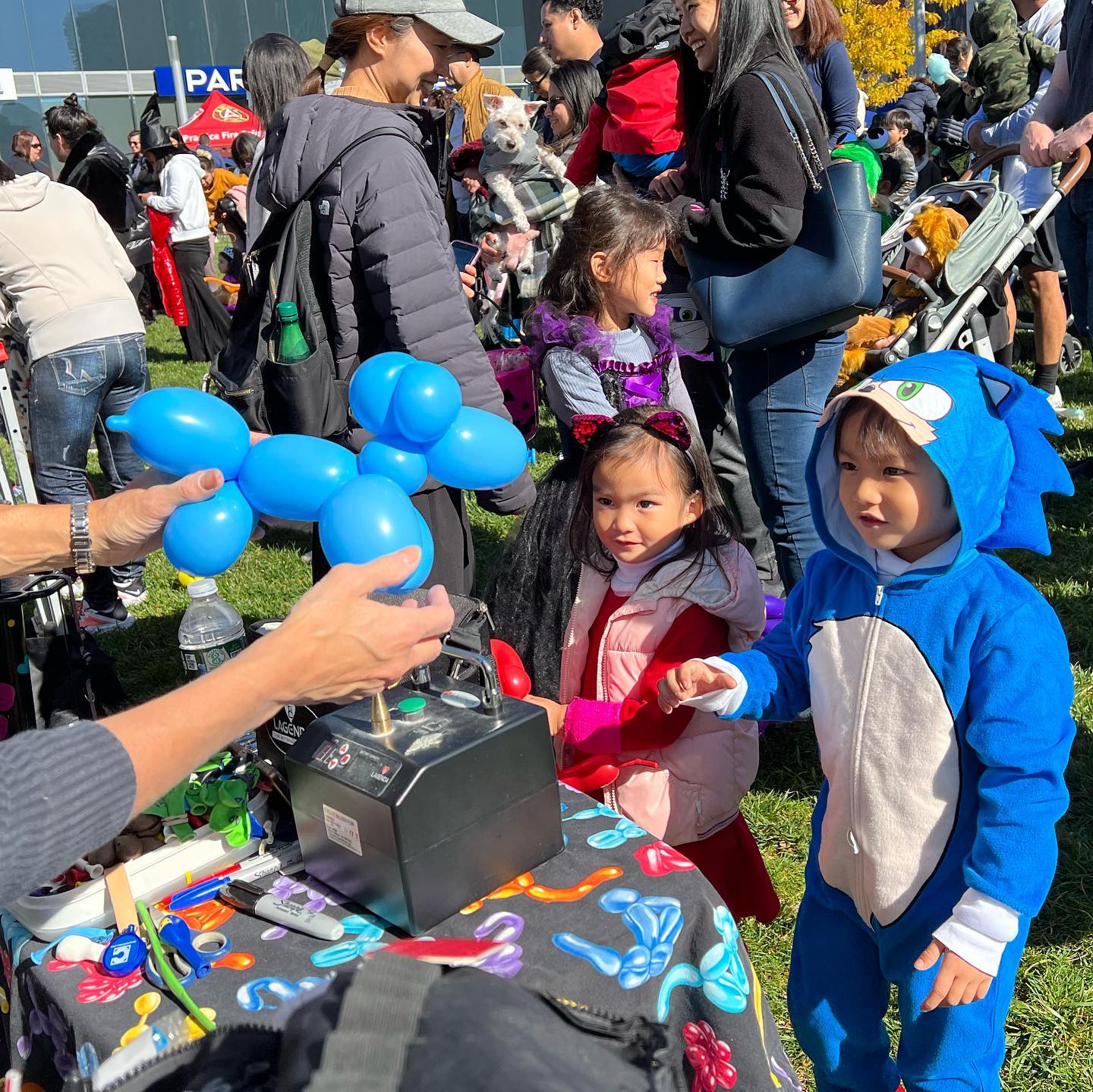 This image has an empty alt attribute; its file name is preview