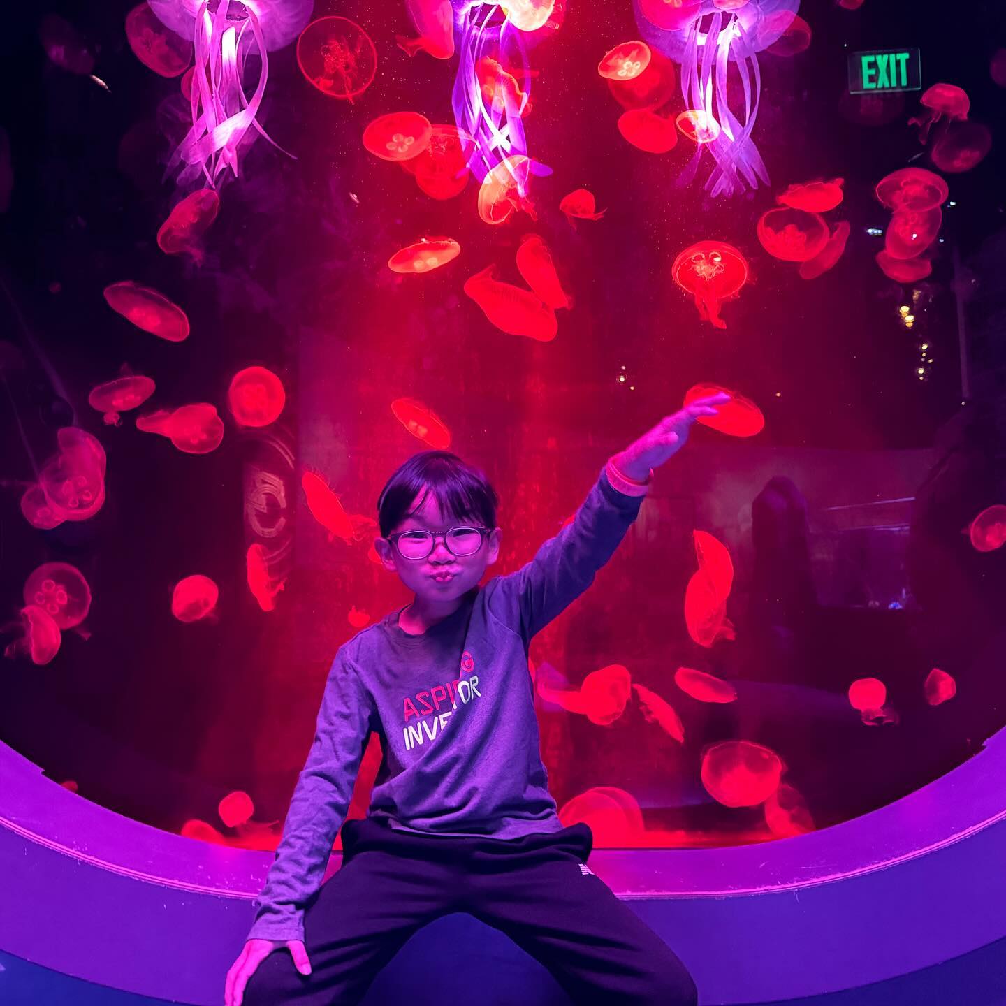 This image has an empty alt attribute; its file name is preview