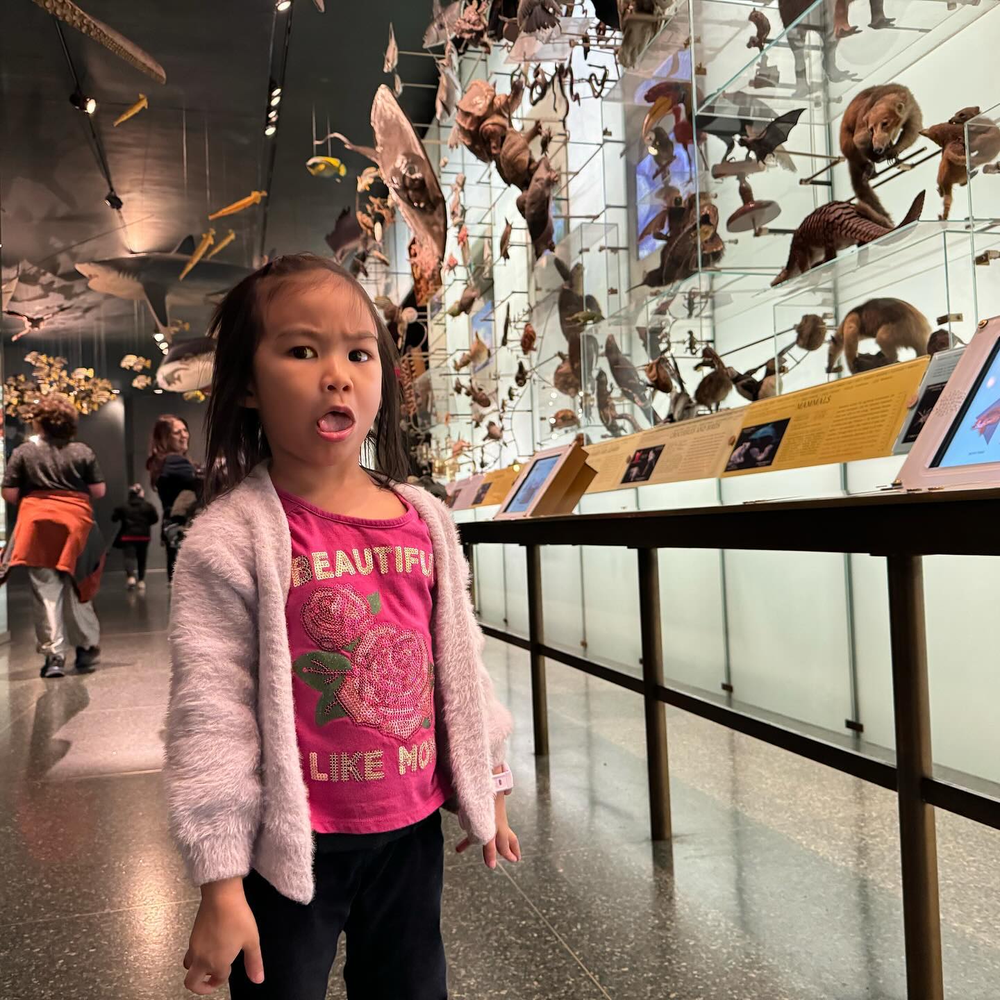 This image has an empty alt attribute; its file name is preview